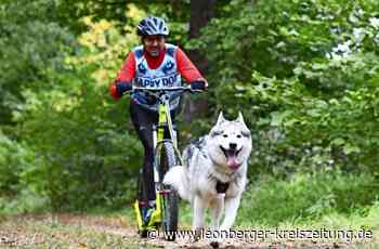 Schlittenhunderennen - Schnelle Vierbeiner auf dem Schwabentrail - Leonberger Kreiszeitung
