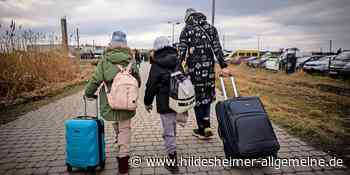 Online-Plattform zur Koordination der Ukraine-Hilfe in Hildesheim eingerichtet - www.hildesheimer-allgemeine.de