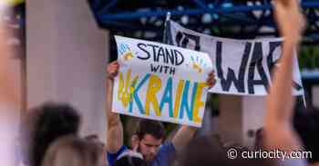 9 ways Calgarians can show their support for Ukraine this weekend - Curiocity