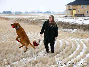 There's lots to love about Langdon - Calgary Herald