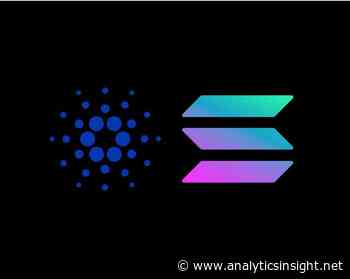 Cardano (ADA) & Solana (SOL) Whales Keep Buying Bitgert - Analytics Insight