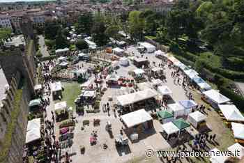 Este: Este in Fiore 2022: avviso per gli espositori - Padova News