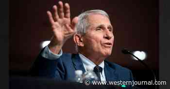 Fauci's Next Moves Revealed After Seemingly Disappearing as Left's COVID Narrative Disintegrates