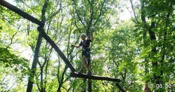 Bonn: Diese Hochseilgärten gibt es in der - General-Anzeiger Bonn