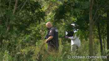 Body found in Smiths Falls, Ont. | CTV News - CTV News Ottawa