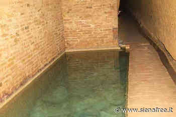 Siena, l'associazione La Diana organizza il ''Corso Bottinieri'' 2022 - SienaFree.it