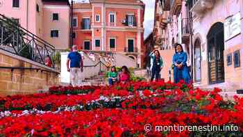 "Coloriamo la città di fiori": i Commercianti di Colleferro lanciano l'iniziativa - Monti Prenestini