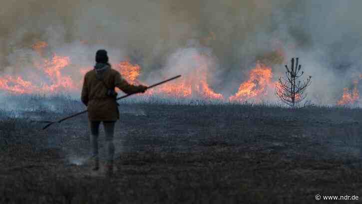 Feuer in der Lüneburger Heide - für den Naturschutz - NDR.de