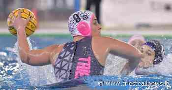 Pallanuoto, orchette ko con Florentia – TRIESTE.news - Trieste News