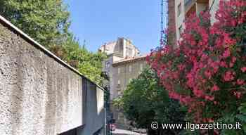 Rapina choc a Trieste: uomo colpito alla testa con il calcio della pistola e due colpi esplosi in aria - ilgazzettino.it