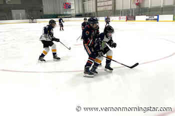 Vernon Junior Vipers defeat Kamloops, West Kelowna - Vernon Morning Star