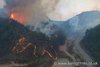Thousands flee as South Korean wildfire destroys homes - Ealing Times