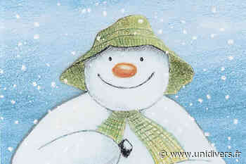 Spectacle The snowman Dax mercredi 9 mars 2022 - Unidivers