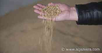 Could Russia’s invasion of Ukraine trigger a global food crisis? - Al Jazeera English