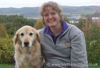 Ways to help your dog overcome food issues and noise fears - Northern Times