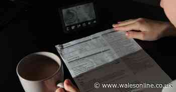 Families cutting back on essentials as soaring costs hit food and fuel - Wales Online
