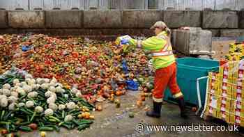 The average NI family bins £500 worth of food every year...here are some tips to reduce food waste - Belfast News Letter