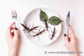 Insect-as-food waste a 'tremendous' opportunity to boost crop yields sustainably - FoodNavigator.com