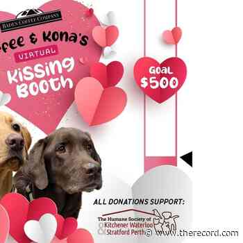 Pucker up: Baden Coffee Company organizes kissing booth and fundraiser - Waterloo Region Record