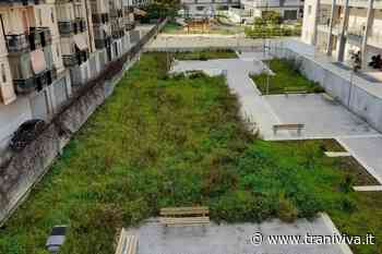 Alloggi di via Austria, partite le prime richieste di sottoscrizione dei contratti - TraniViva