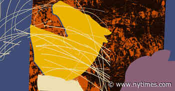 NoViolet Bulawayo Allegorizes the Aftermath of Robert Mugabe