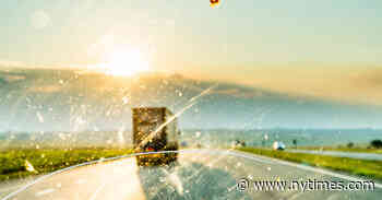 Review: "The Insect Crisis," by Oliver Milman - The New York Times