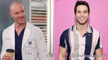 Richard Flood leaves 'Grey's Anatomy'; Skylar Astin sets recurring role - ABC News