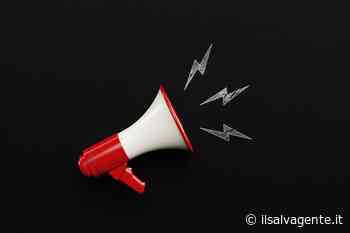 Mandorelli San Marco, mazzancolle tropicali... i richiami della settimana - Il Salvagente