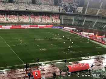 Calcio: Bari-Francavilla 2-1 - Agenzia ANSA