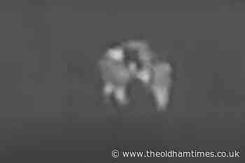 Woman hugs police officer after being saved from swamp - The Oldham Times