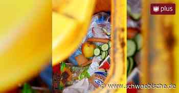 Im Haushalt landet gutes Essen zu schnell im Müll - So kann das vermieden werden - Schwäbische