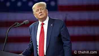 Trump jokes US should 'put the Chinese flag' on F-22 fighter jets and 'bomb the s---' out of Russia: report