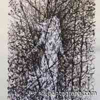 The latest exhibits from the Bloomington-Normal area - The Pantagraph