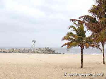 Arts committee plans painting activity at Refresh Your Pallet - StarNewsGroup.com