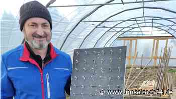 So stehen die Radieserl in Reih und Glied – Profitipps für ambitionierte Hobbygärtner