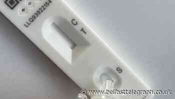 Coronavirus Northern Ireland: Four deaths and 1725 new cases reported - Belfast Telegraph