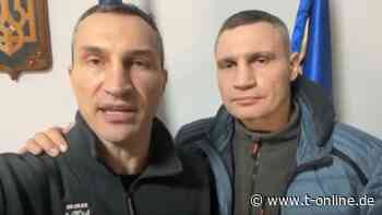 Klitschko-Brüder senden Botschaft aus Kiew - t-online