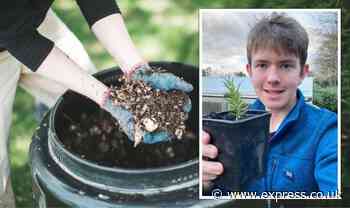 'Stop using any peat': Gardener details 'best option' for compost in your garden - Express