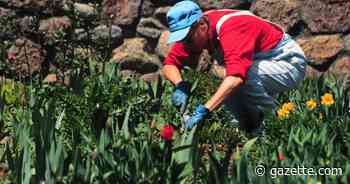 Year-round gardening: Must-have tools for any Colorado gardener - Colorado Springs Gazette
