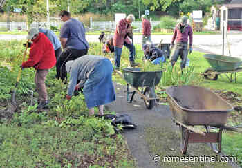 Sign-up by Feb. 11 for Master Gardener Volunteer training - Rome Sentinel