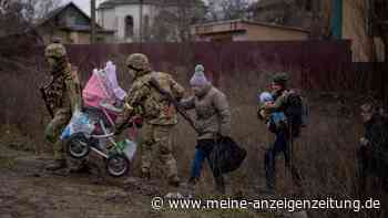 Ukraine-Krieg: Selenskyj macht womöglich neue Putin-Pläne publik - USA sehen große russische Verluste