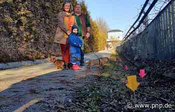 Die Innufer sind vermintes Gebiet - Passauer Neue Presse - PNP.de