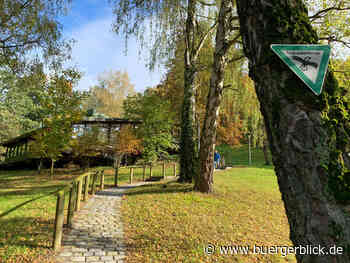 Erfolgloser Widerstand der Öko-Parteien: Passau baut neue Kita in Naturdenkmal - Nachrichten - Bürgerblick Passau - Bürgerblick Passau