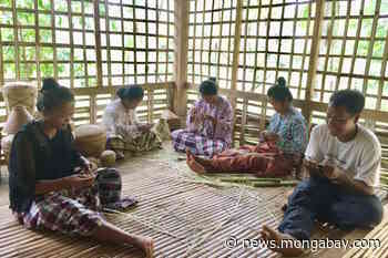 An Indigenous basket-weaving tradition keeps a Philippine forest alive - Mongabay.com