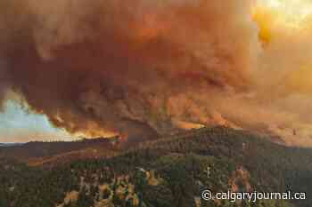 Climate change increasing health risks among forest firefighters - The Calgary Journal