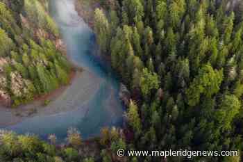 BC BUDGET: Province braces for shrinking forest industry, new lands ministry – Maple Ridge News - Maple Ridge News