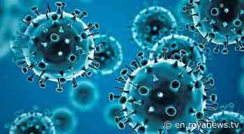 Jordan confirms 97 deaths and 39,979 coronavirus - Roya News English