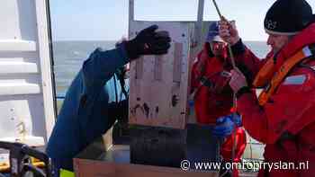 Stenen, veen en schelpen: onderzoekers halen Waddenbodem boven water - Omrop Fryslan
