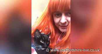 Swadlincote woman heartbroken as tiny kitten killed by 'mutated coronavirus' - Staffordshire Live