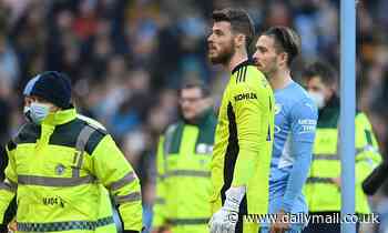 Manchester derby is latest game to be held up by medical emergency after fans alerted the players - Daily Mail